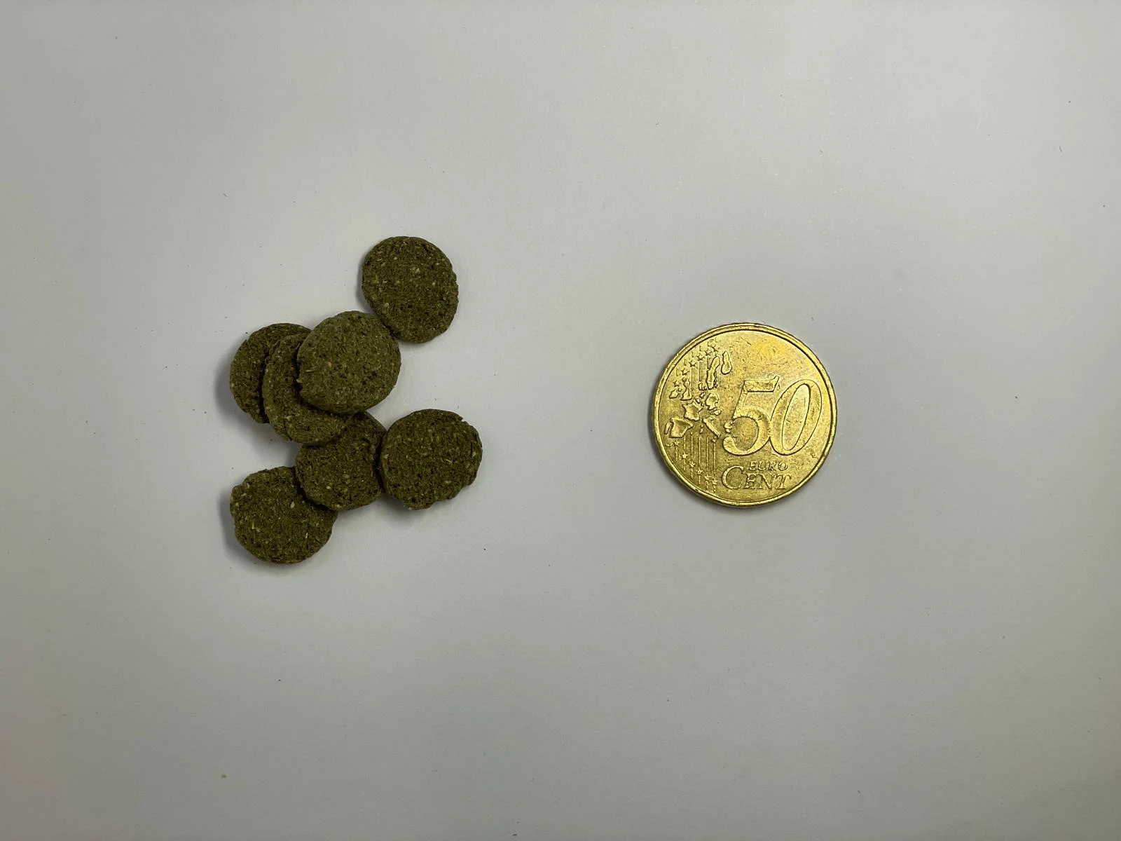 Zinkende Algen Snack voor o.a. Muskusschildpadden – 50 gram – foto 2