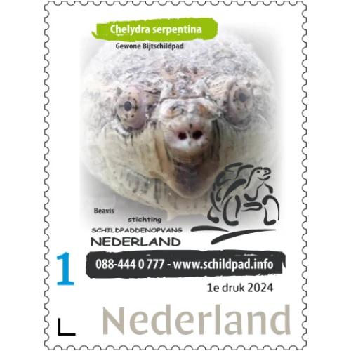 Schildpad Postzegel Bijtschildpad – 1e Druk – Beperkte Oplage