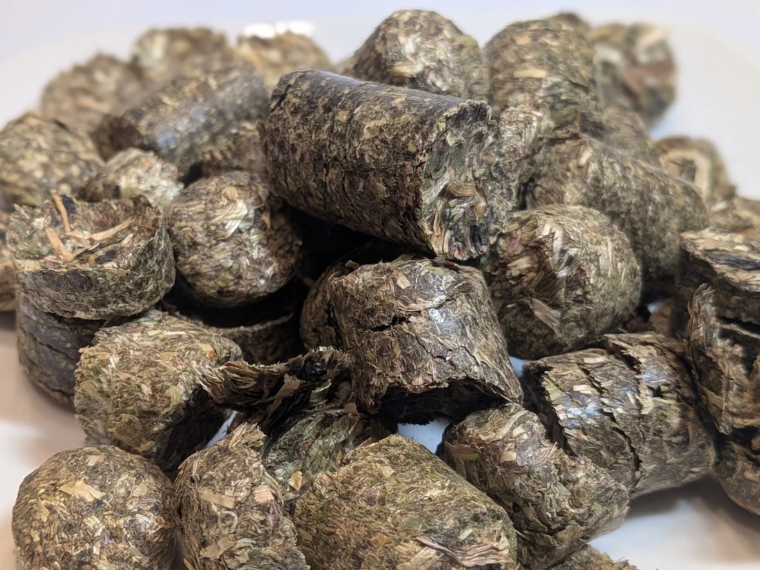 Agrobs TESTUDO Puur Natuur Landschildpadvoer – 500 gram