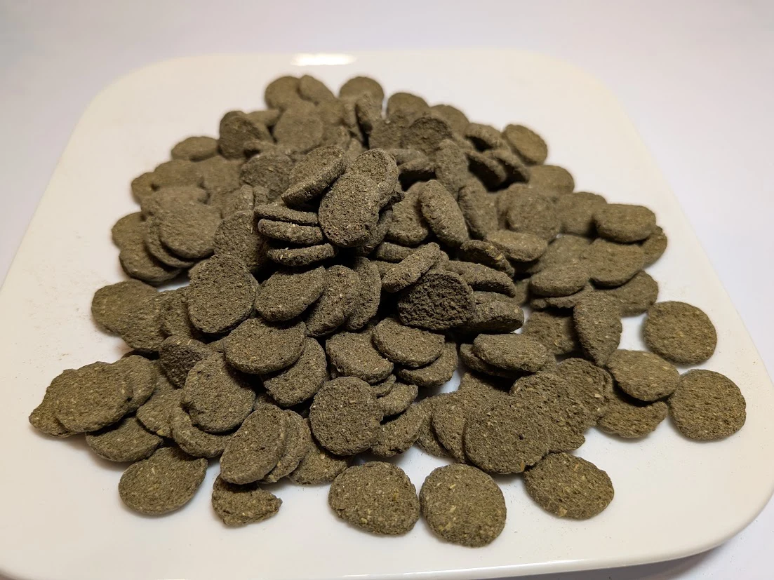 Zinkende Algen Snack voor o.a. Muskusschildpadden – 50 gram