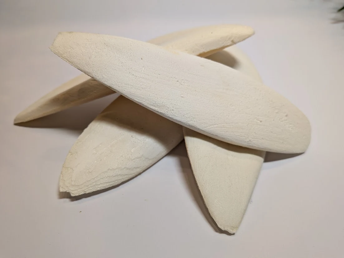 Sepia voor Schildpadden – Calcium/Kalk