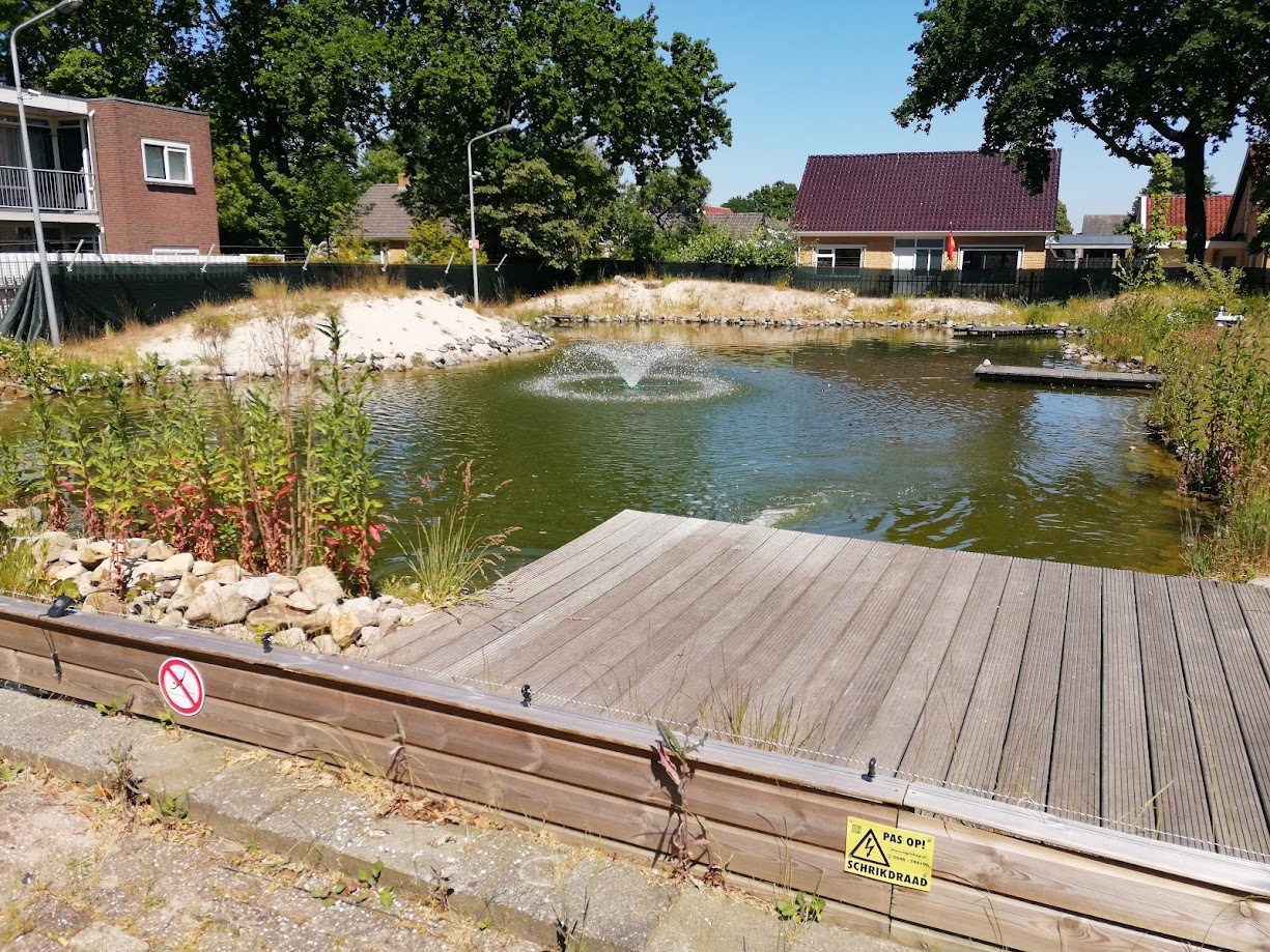 Buitenvijver Harkema